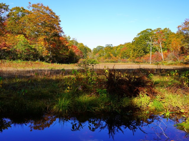 天生峠の紅葉　